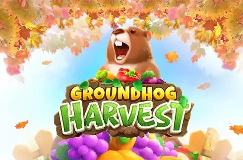 Groundhog Harvest