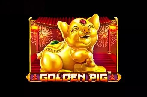 Golden Pig  