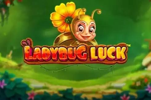 Ladybug Luck